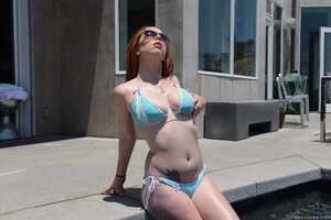 Original 2491 px/ 1663 px