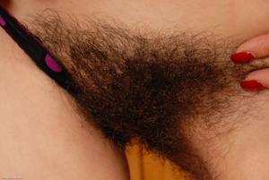 Original 3000 px/ 2008 px