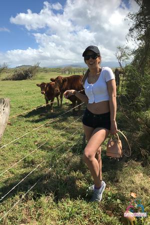 Original 2000 px/ 3000 px