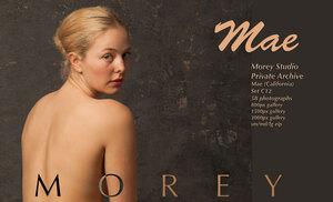 Original 3000 px/ 1823 px