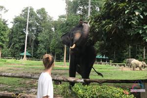 Original 3000 px/ 2000 px