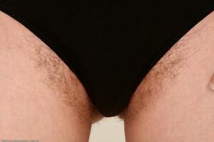 Original 1536 px/ 1025 px