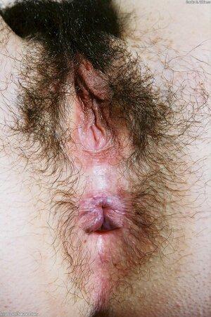 Original 683 px/ 1024 px