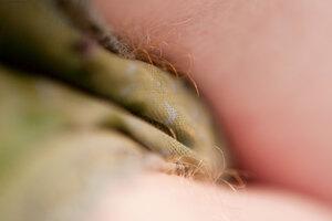 Original 3888 px/ 2592 px