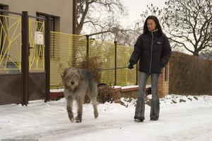 Original 1536 px/ 1024 px