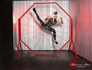 Original 1320 px/ 1001 px