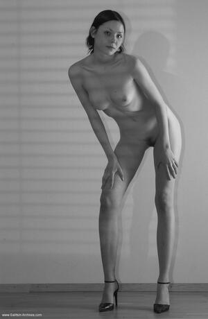 Original 782 px/ 1200 px