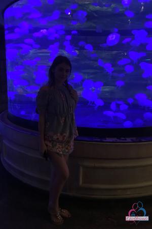 Original 2000 px/ 3000 px