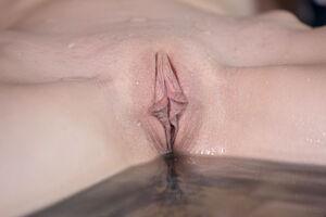 Original 8688 px/ 5792 px