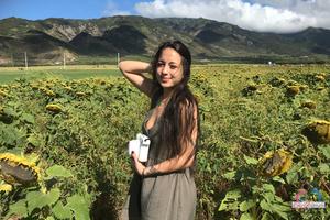 Original 3000 px/ 2000 px