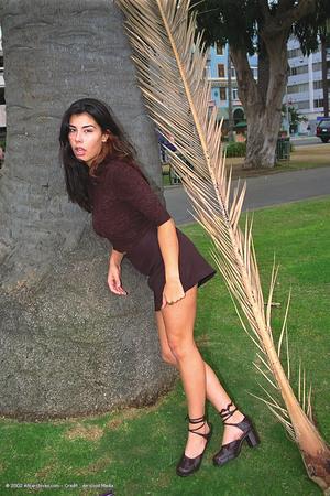 Original 682 px/ 1024 px