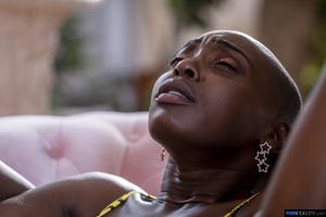 Original 2160 px/ 1441 px