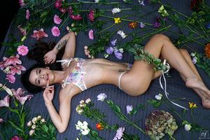 Original 7952 px/ 5304 px