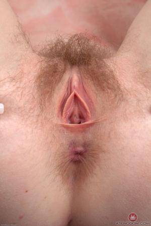 Original 682 px/ 1024 px