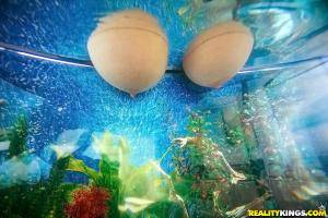 Original 900 px/ 600 px