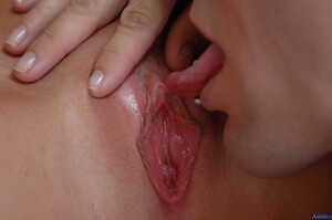 Original 2500 px/ 1660 px