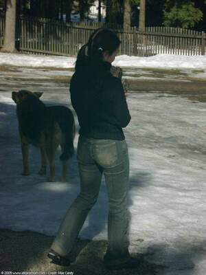 Original 1200 px/ 1600 px