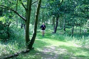 Original 4500 px/ 3000 px