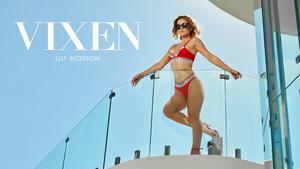 Original 3000 px/ 1688 px