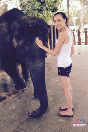 Original 2000 px/ 3000 px