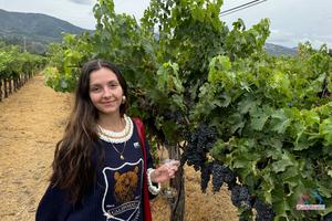 Original 3000 px/ 2000 px