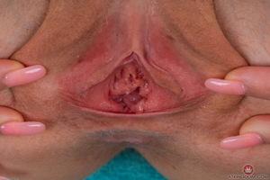 Original 3000 px/ 2001 px