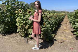 Original 3000 px/ 2000 px