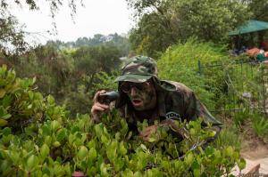 Original 2499 px/ 1663 px