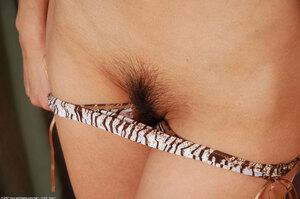 Original 1536 px/ 1021 px