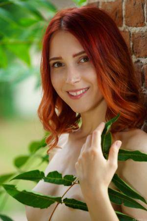 Original 5304 px/ 7952 px