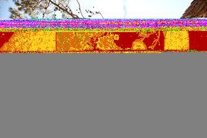 Original 3000 px/ 2000 px