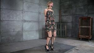 Original 1200 px/ 675 px