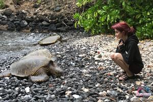 Original 3000 px/ 2000 px