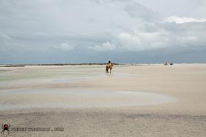 Original 4372 px/ 2906 px