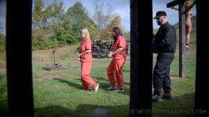 Original 1200 px/ 675 px