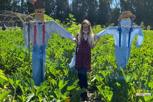 Original 3000 px/ 2000 px