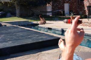 Original 1584 px/ 1053 px