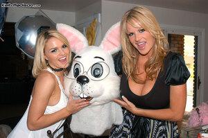 Original 1077 px/ 716 px