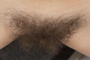 Original 3000 px/ 2000 px