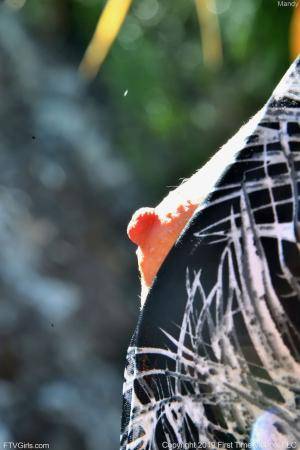 Original 852 px/ 1280 px