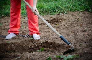 Original 1200 px/ 795 px