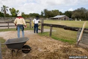 Original 800 px/ 533 px