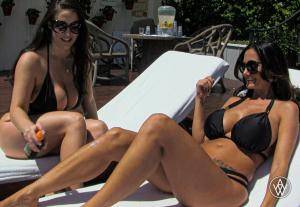 Original 2304 px/ 1595 px