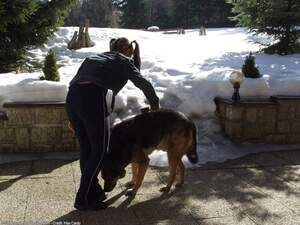 Original 1600 px/ 1200 px