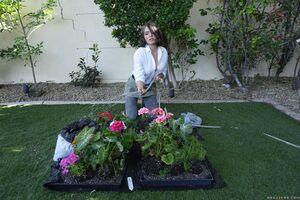 Original 1620 px/ 1080 px