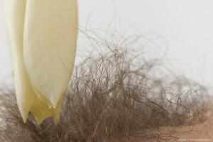 Original 3000 px/ 2000 px