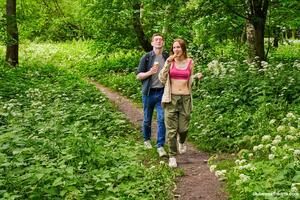 Original 6000 px/ 4000 px