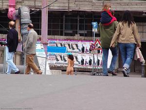 Original 1024 px/ 768 px