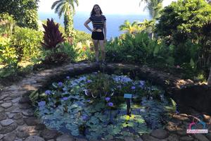 Original 3000 px/ 2000 px