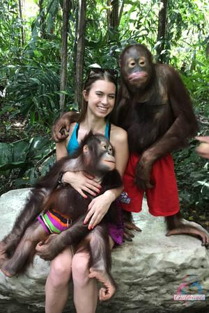 Original 2000 px/ 3000 px